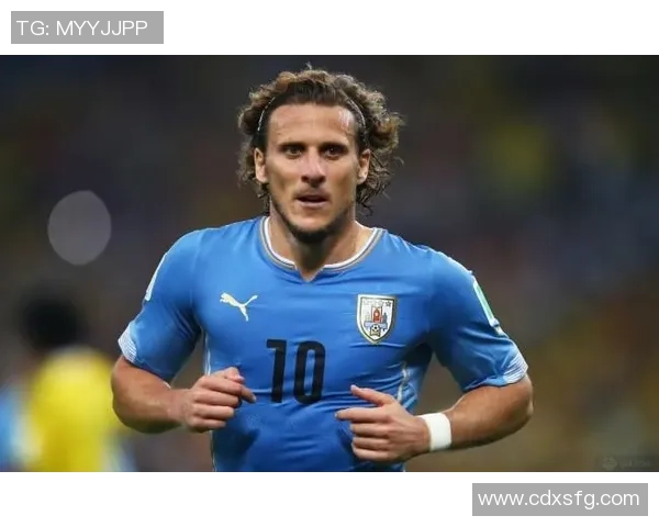 乌拉圭足球界最帅球星盘点谁才是最具魅力的足球英雄