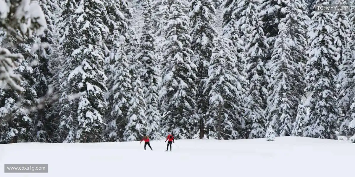 📱边看边聊，与全球球迷共享精彩时刻！💬